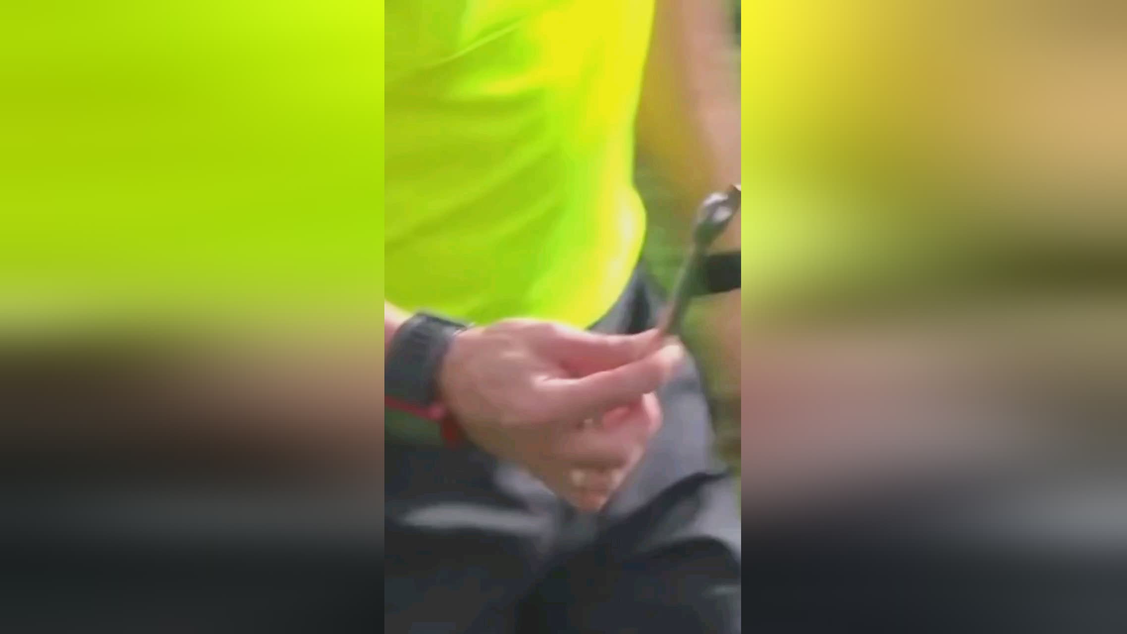 式征服环境